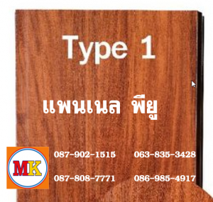 แพนเนล พียู TYPE 1 สีสักทอง