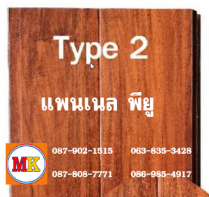 แพนเนล พียู TYPE 2 สีสักทอง