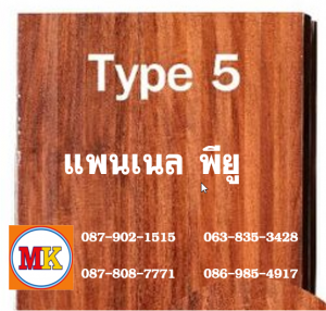 แพนเนล พียู TYPE 5 สีสักทอง