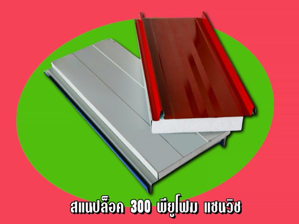 หลังคาแซนวิช สแนปล็อค300