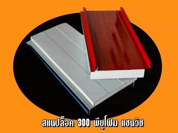 หลังคาแซนวิช สแนปล็อค300