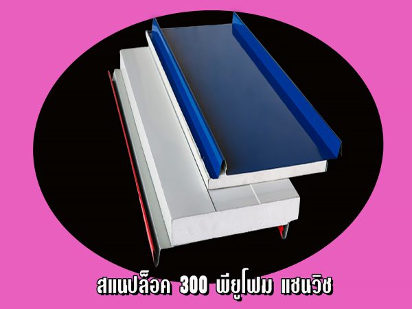 หลังคาแซนวิช สแนปล็อค300