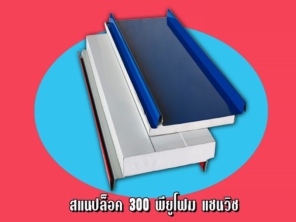 หลังคาแซนวิช สแนปล็อค300