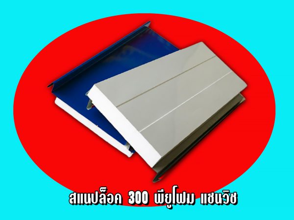 หลังคาแซนวิช สแนปล็อค300