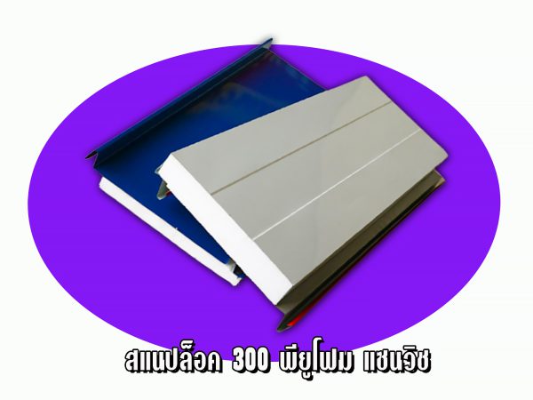หลังคาแซนวิช สแนปล็อค300