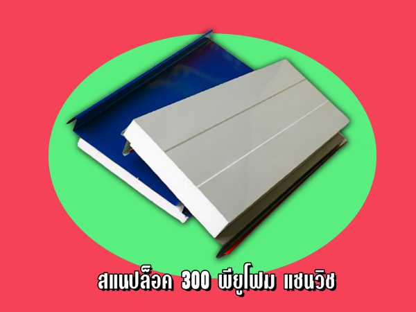 หลังคาแซนวิช สแนปล็อค300