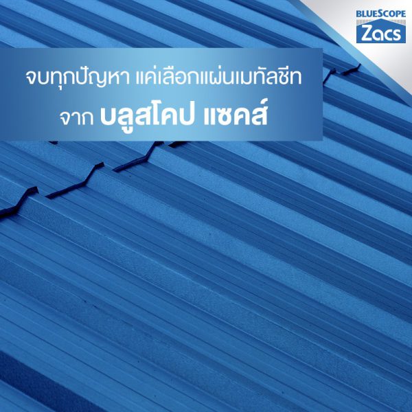 แชมพู บลู บลูสโคป แซคส์ (BLUESCOPE ZACS®)