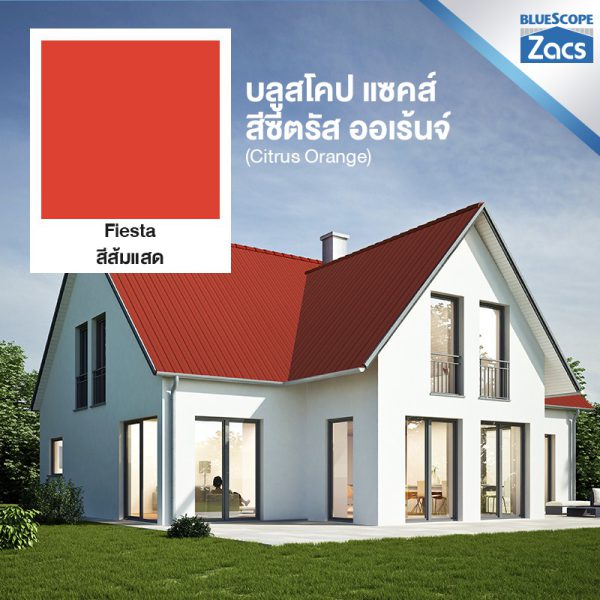 ซิตรัส โอเร้นจ์ บลูสโคป แซคส์ (BLUESCOPE ZACS®)