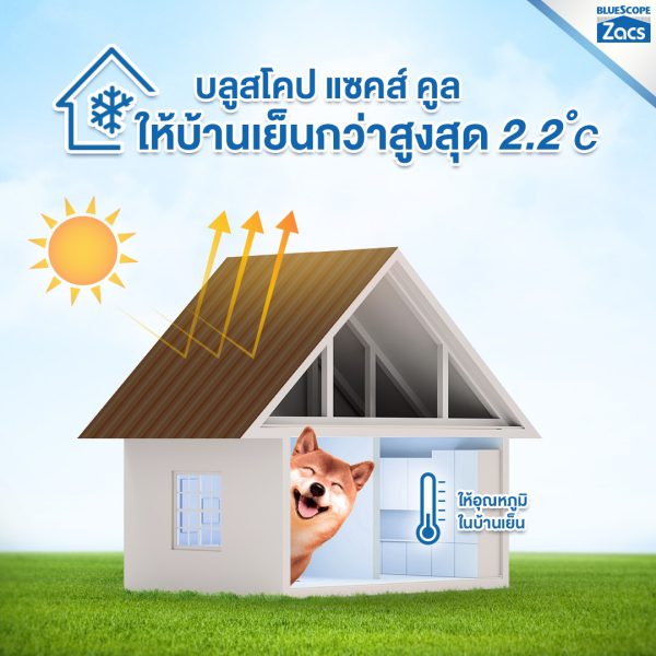 เนเชอรัล บราวน์ บลูสโคป แซคส์ (BLUESCOPE ZACS®)