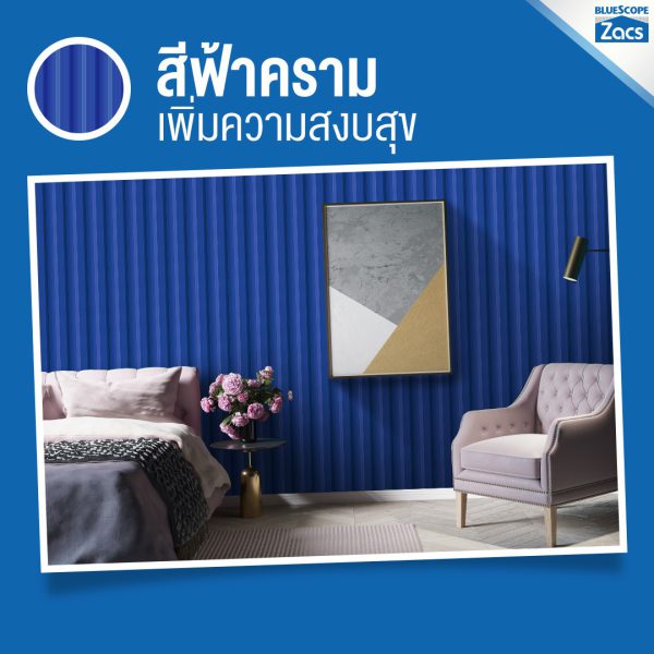แชมพู บลู บลูสโคป แซคส์ (BLUESCOPE ZACS®)