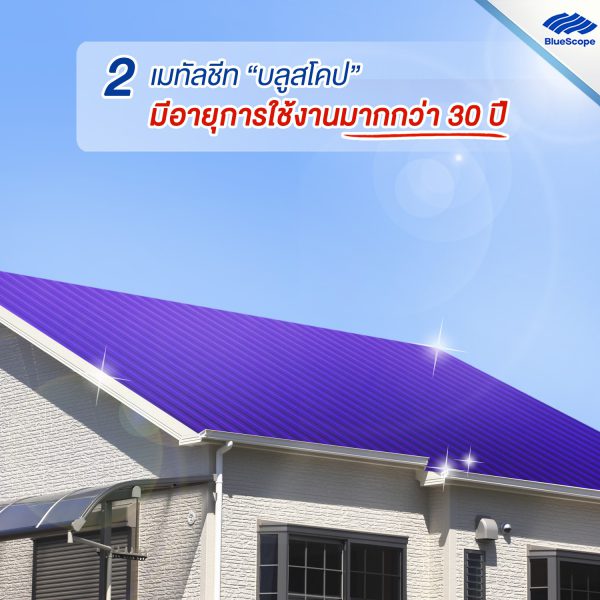 อัลไมตี้ ไวโอเล็ท บลูสโคป แซคส์ (BLUESCOPE ZACS®)