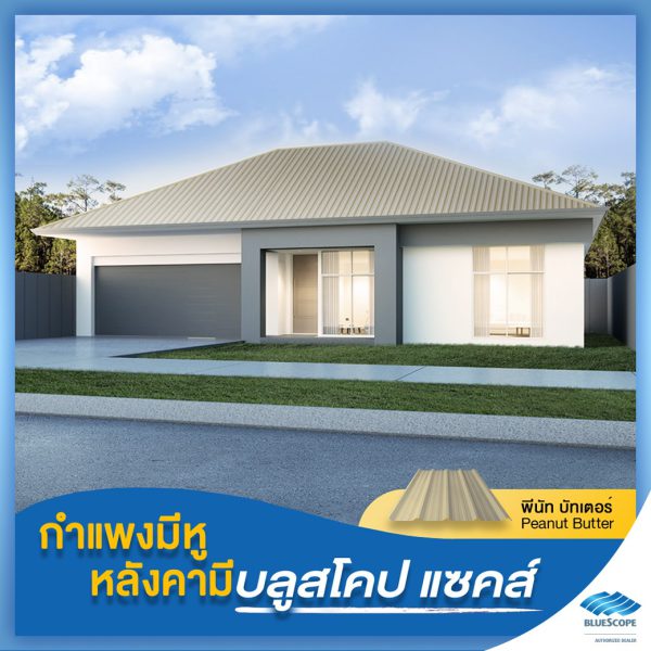พีนัท บัทเตอร์ บลูสโคป แซคส์ (BLUESCOPE ZACS®)