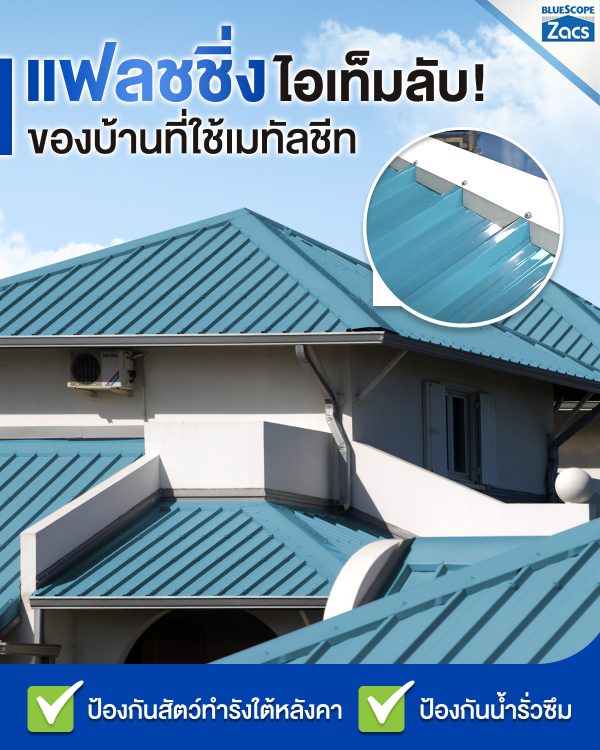 แชมพู บลู บลูสโคป แซคส์ (BLUESCOPE ZACS®)