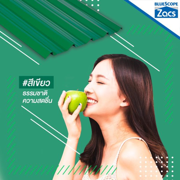ไบร์ท กรีน บลูสโคป แซคส์ (BLUESCOPE ZACS®)