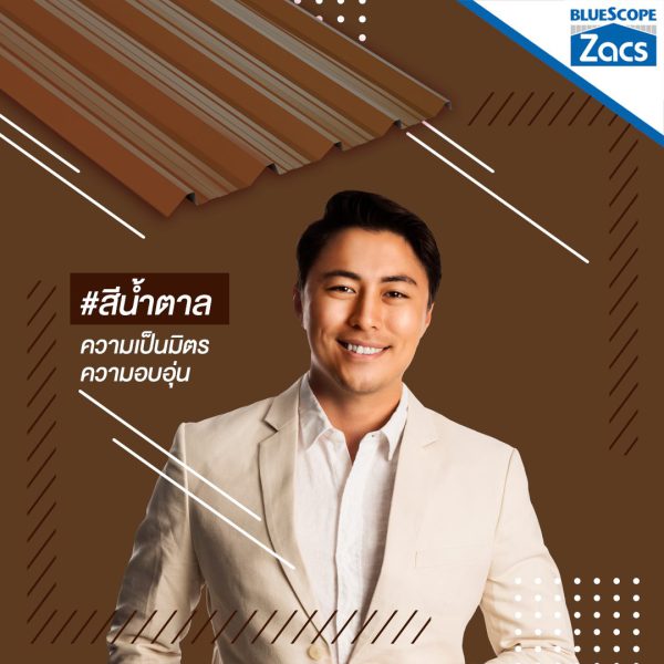 เนเชอรัล บราวน์ บลูสโคป แซคส์ (BLUESCOPE ZACS®)