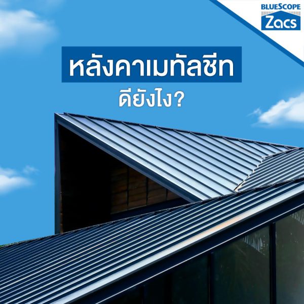 แชมพู บลู บลูสโคป แซคส์ (BLUESCOPE ZACS®)
