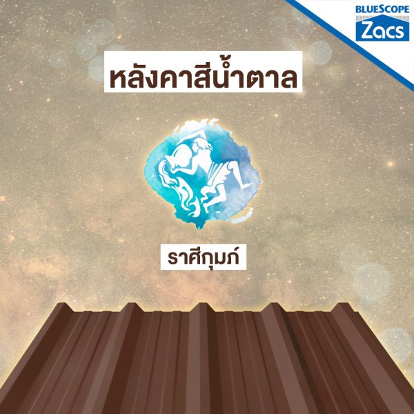 เนเชอรัล บราวน์ บลูสโคป แซคส์ (BLUESCOPE ZACS®)
