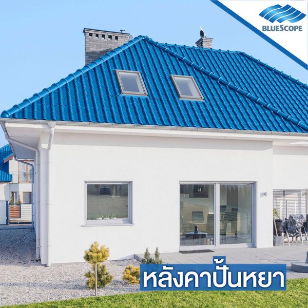 แชมพู บลู บลูสโคป แซคส์ (BLUESCOPE ZACS®)