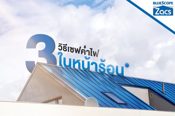 แชมพู บลู บลูสโคป แซคส์ (BLUESCOPE ZACS®)