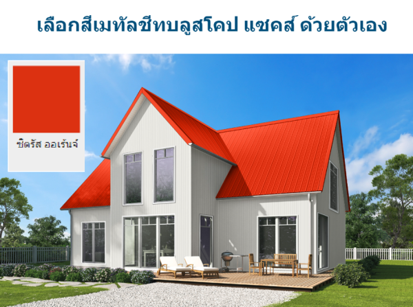 ซิตรัส โอเร้นจ์ บลูสโคป แซคส์ (BLUESCOPE ZACS®)