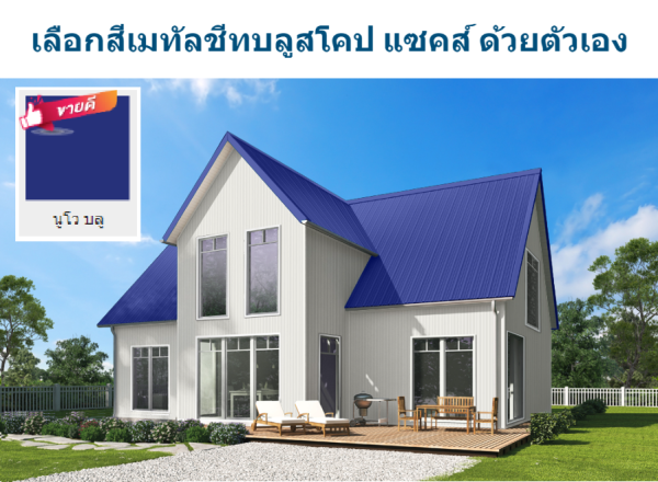 นูโว บลู บลูสโคป แซคส์ (BLUESCOPE ZACS®)