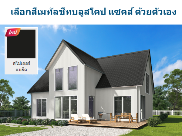 สไปเดอร์ แบล็ค บลูสโคป แซคส์ (BLUESCOPE ZACS®)