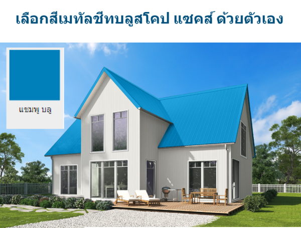 แชมพู บลู บลูสโคป แซคส์ (BLUESCOPE ZACS®)