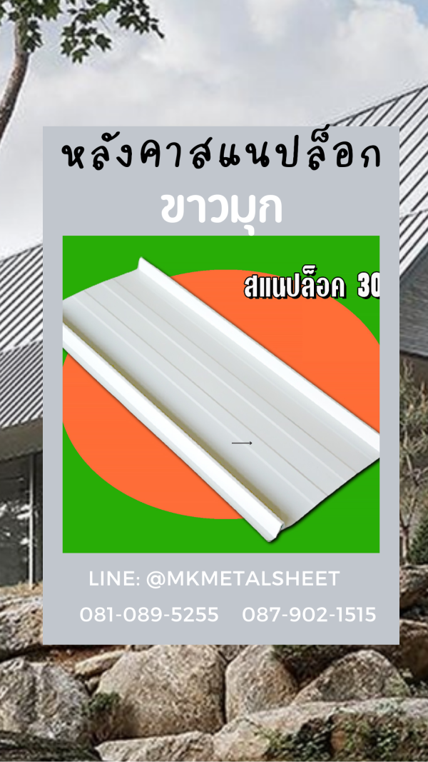หลังคา/ผนัง SnapLock บางจาก/ม่วง/แดง