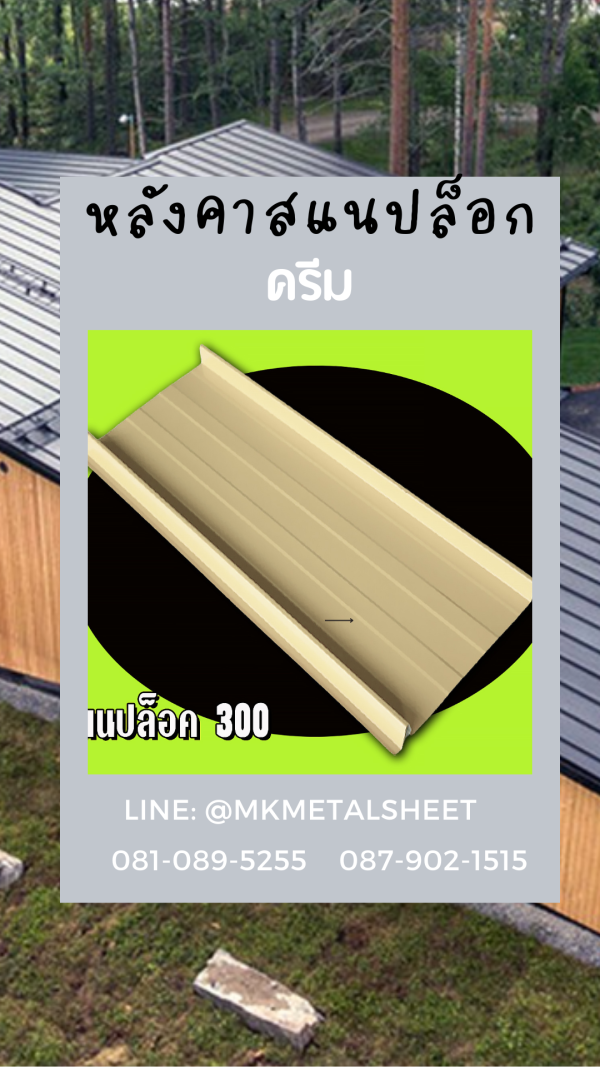 หลังคา/ผนัง SnapLock บางจาก/ม่วง/แดง